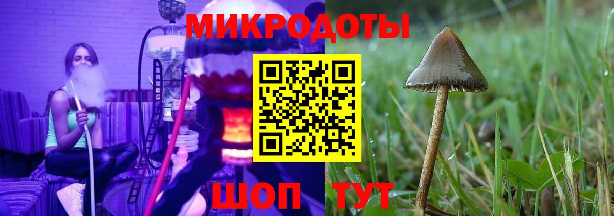Галлюциногенные грибы MAGIC MUSHROOMS Октябрьский